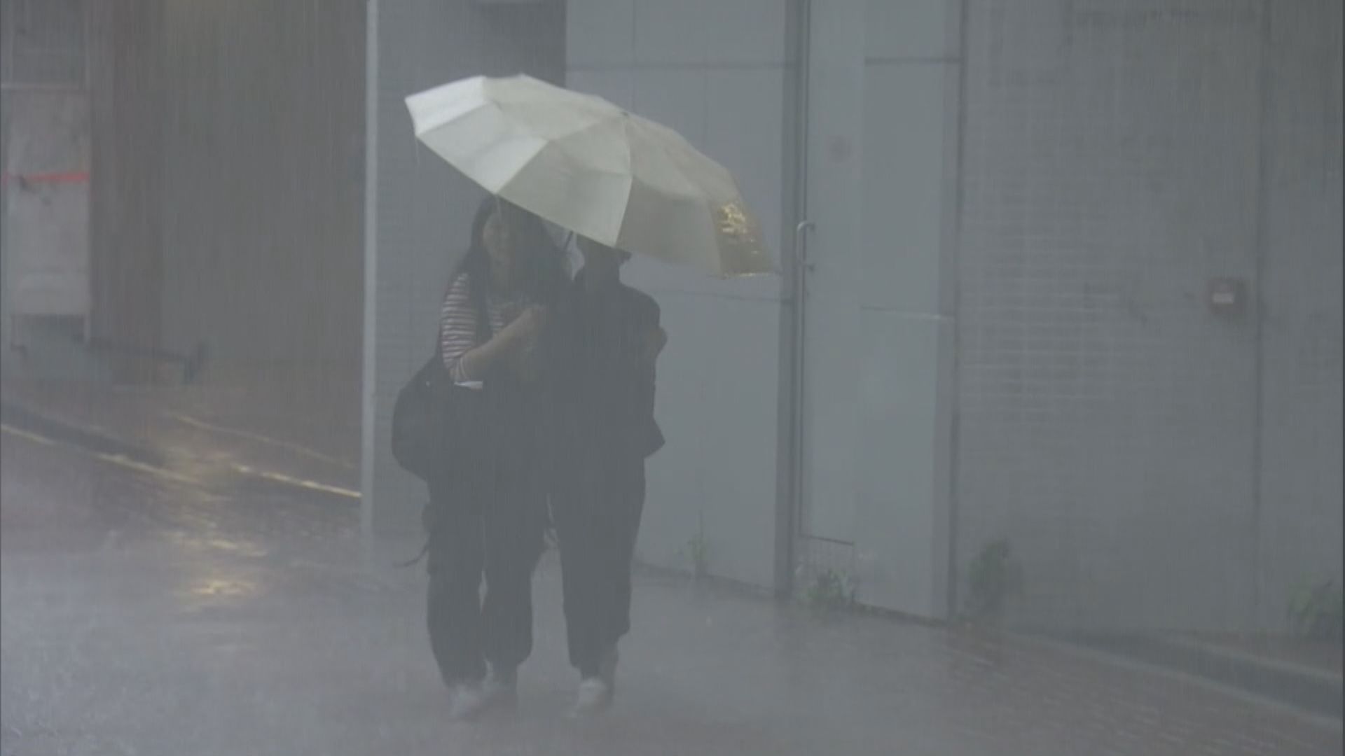 黑雨警告今第二度發出　下午黑雨期間坪輋行人狗隻涉水而行(謝欣桐報道)