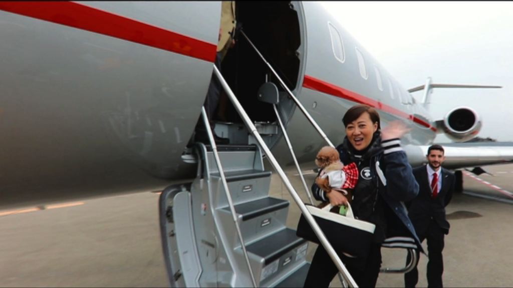 【理財有方】(二)同狗狗一齊「飛」