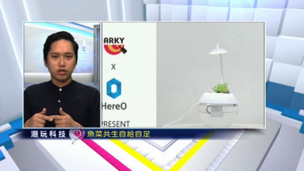 【潮玩科技】養魚？種菜？百呎蝸居變身小農場！