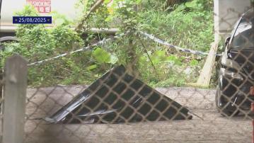 屯門亦園路謀殺案　警方拘8人疑涉私煙利益糾紛