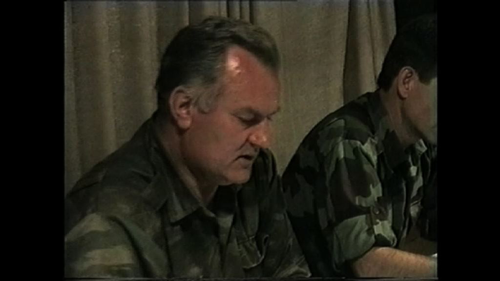 涉戰爭反人道等罪　姆拉迪奇判囚終身