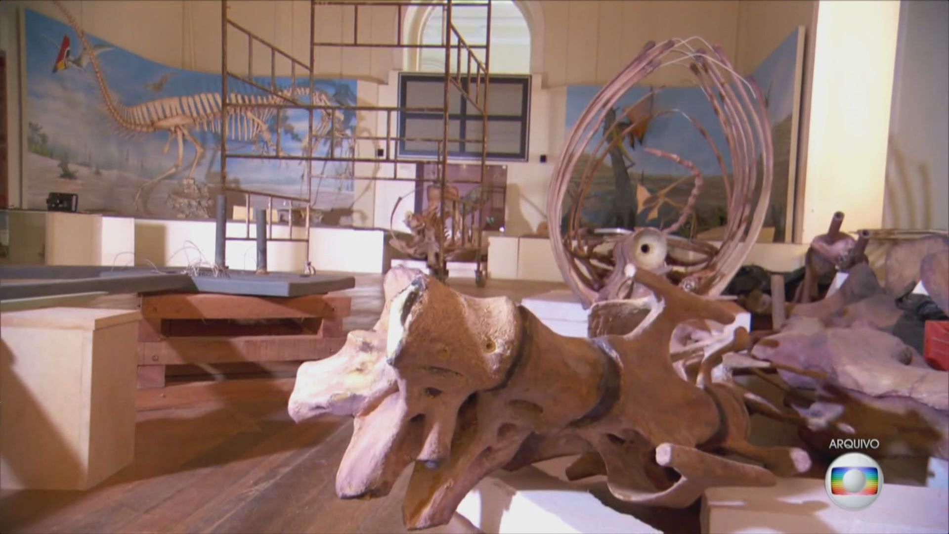 巴西經濟衰退　博物館經費長期不足