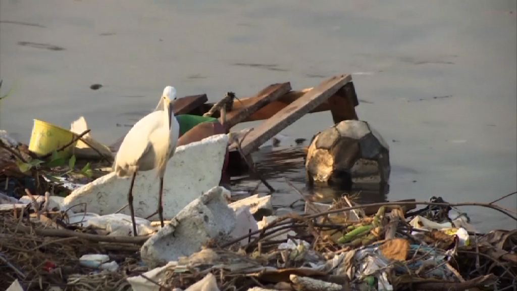 巴西示威抗議奧運場地水污仍嚴重