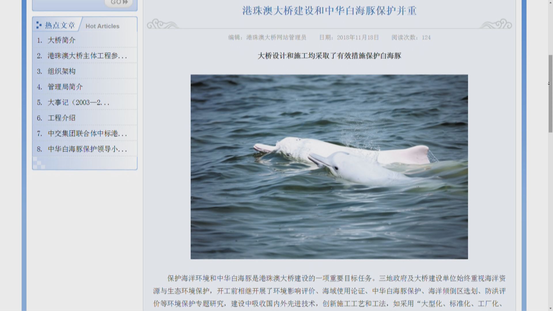 大橋管理局公布中華白海豚13年來少近兩成