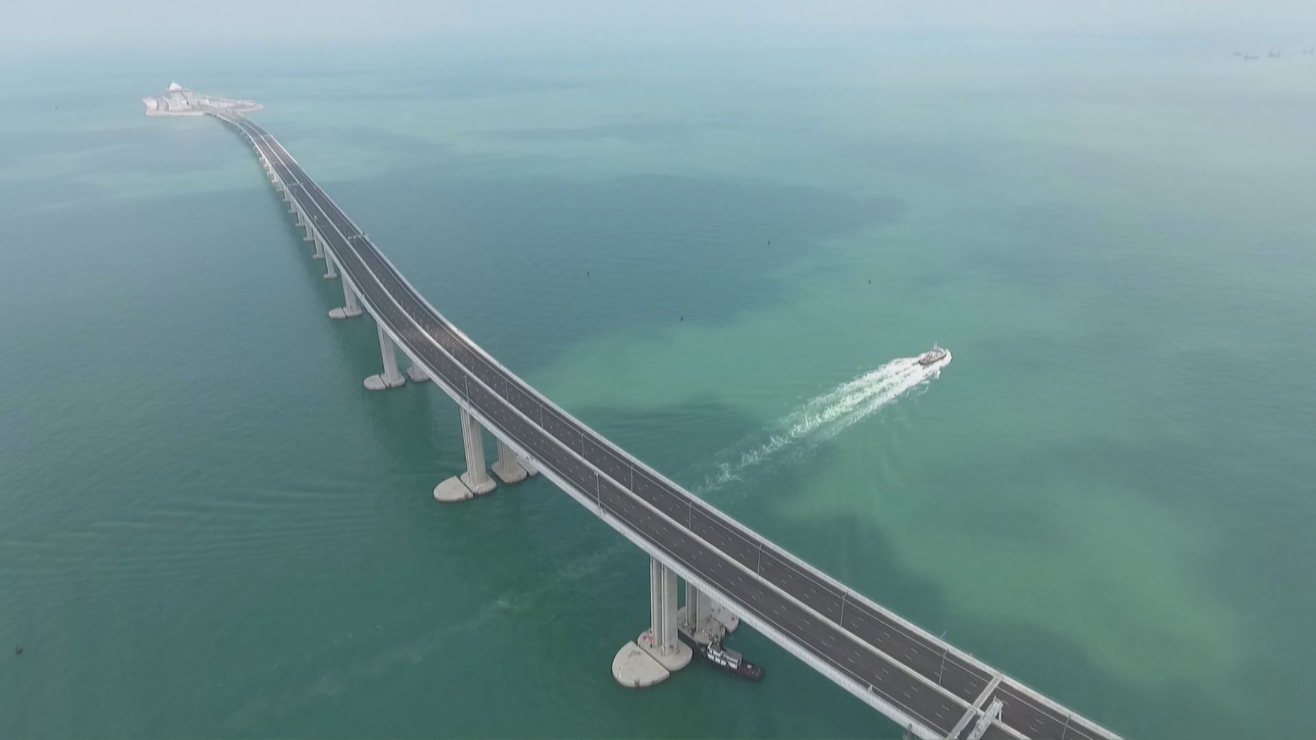 路政署：正檢視白海豚報告