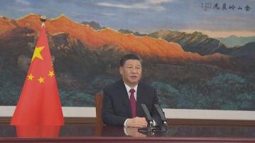 習近平發賀信熱烈祝賀深中通道建成開通