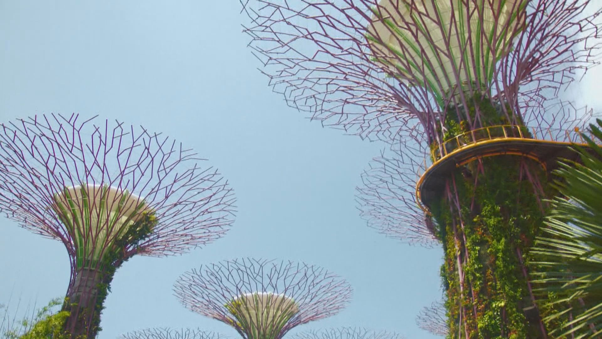 港星不再就旅遊氣泡作討論　新加坡周六起准許港人免隔離檢疫入境