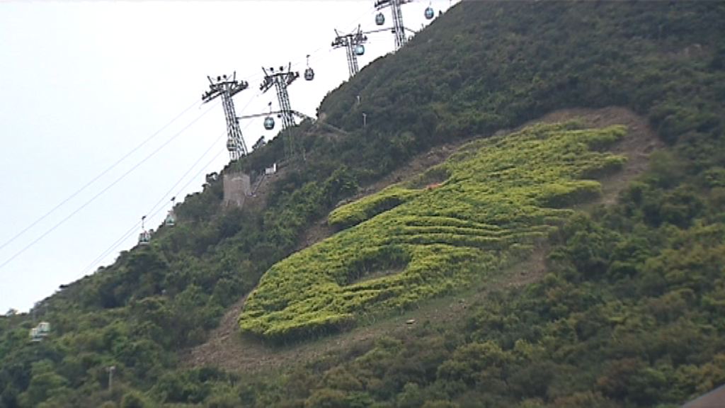 海洋公園將利用三億撥款發展新項目