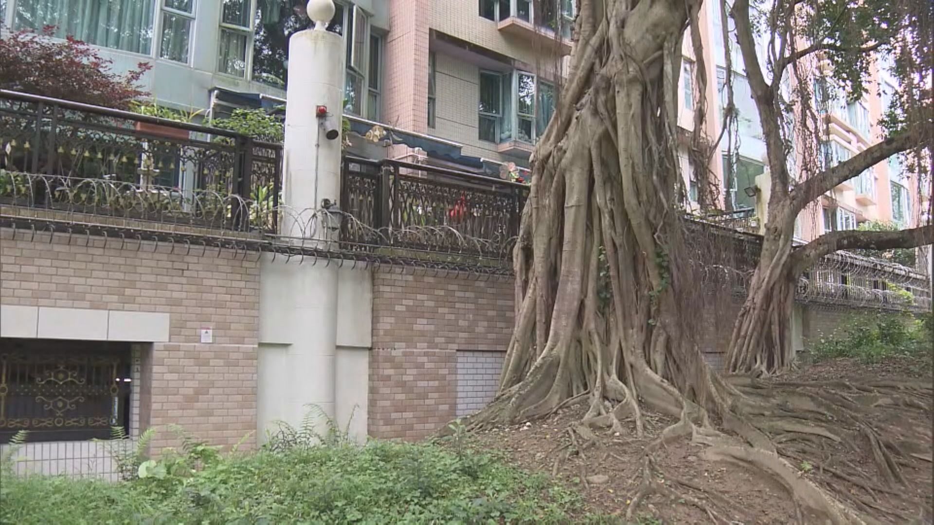 鄧家彪大埔住所凌晨被爆竊 失500元及一張信用卡