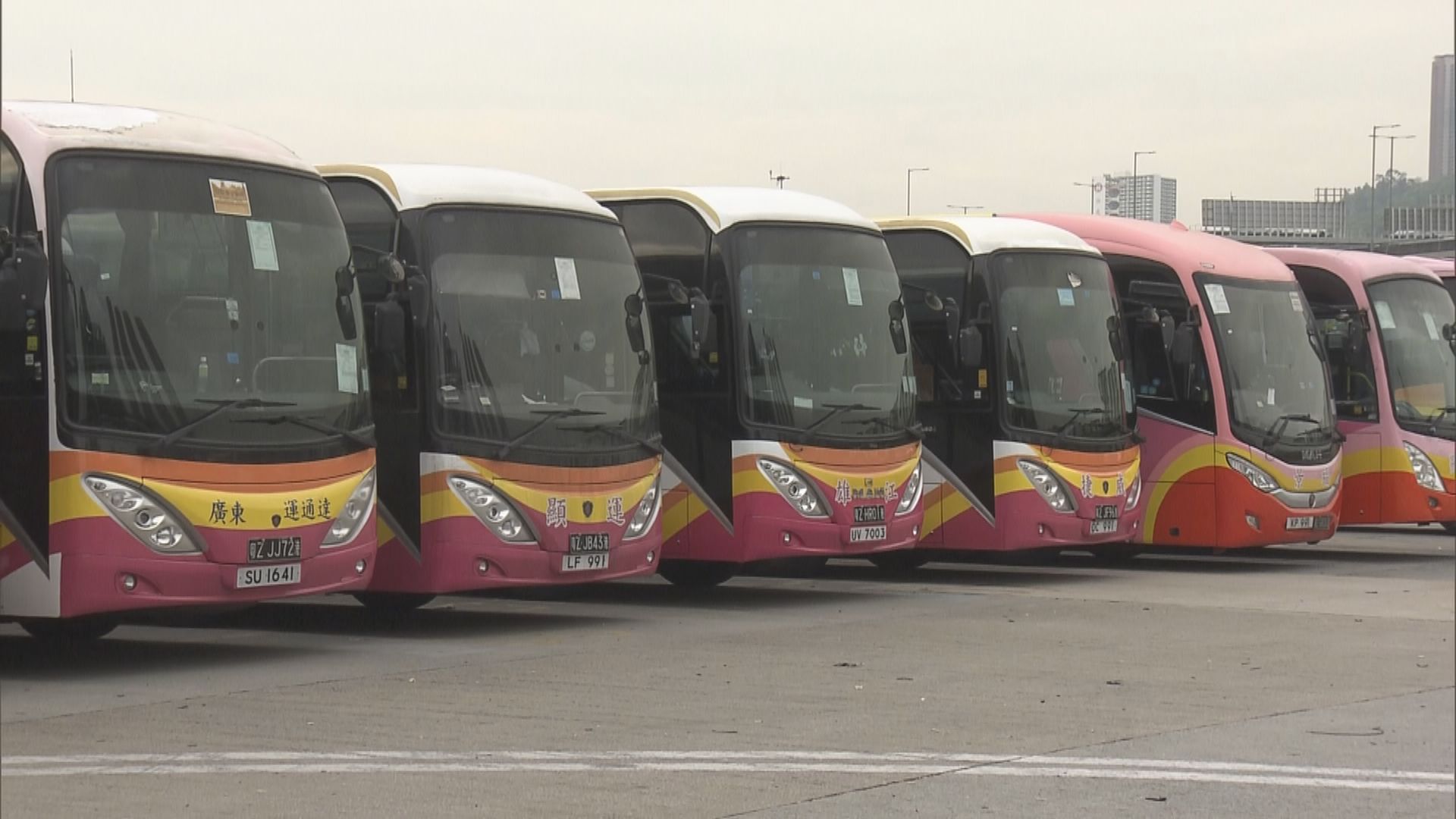 旅遊業逐步復甦　有直通巴公司指仍缺七成司機開工