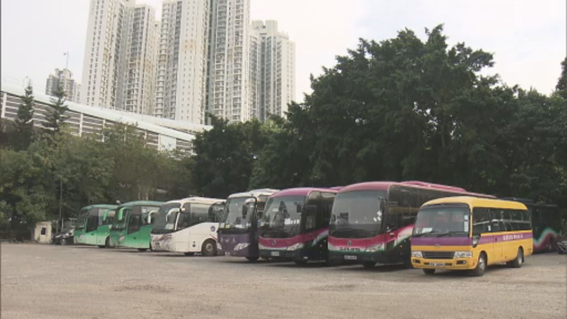 直通巴公司：礙於人手及牌照　通關初期只能恢復疫情前一成運力