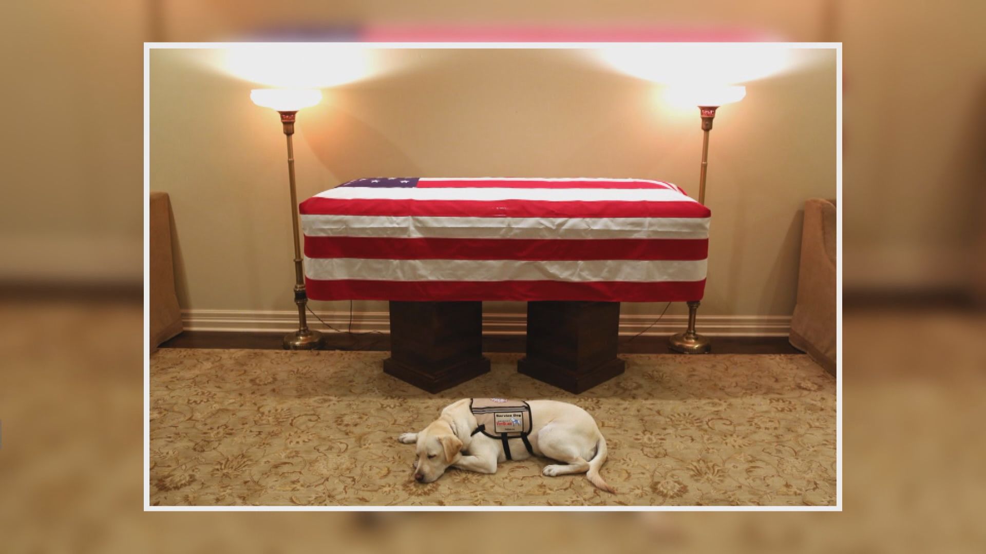 老布殊愛犬將隨靈柩到華盛頓