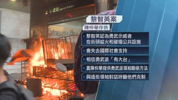 【黎智英案】陳梓華作供：黎智英憂失國際支持 欲聯絡勇武派領袖