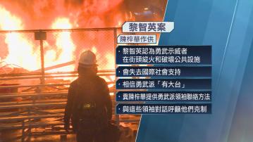 【黎智英案】陳梓華作供：黎智英憂失國際支持 欲聯絡勇武派領袖