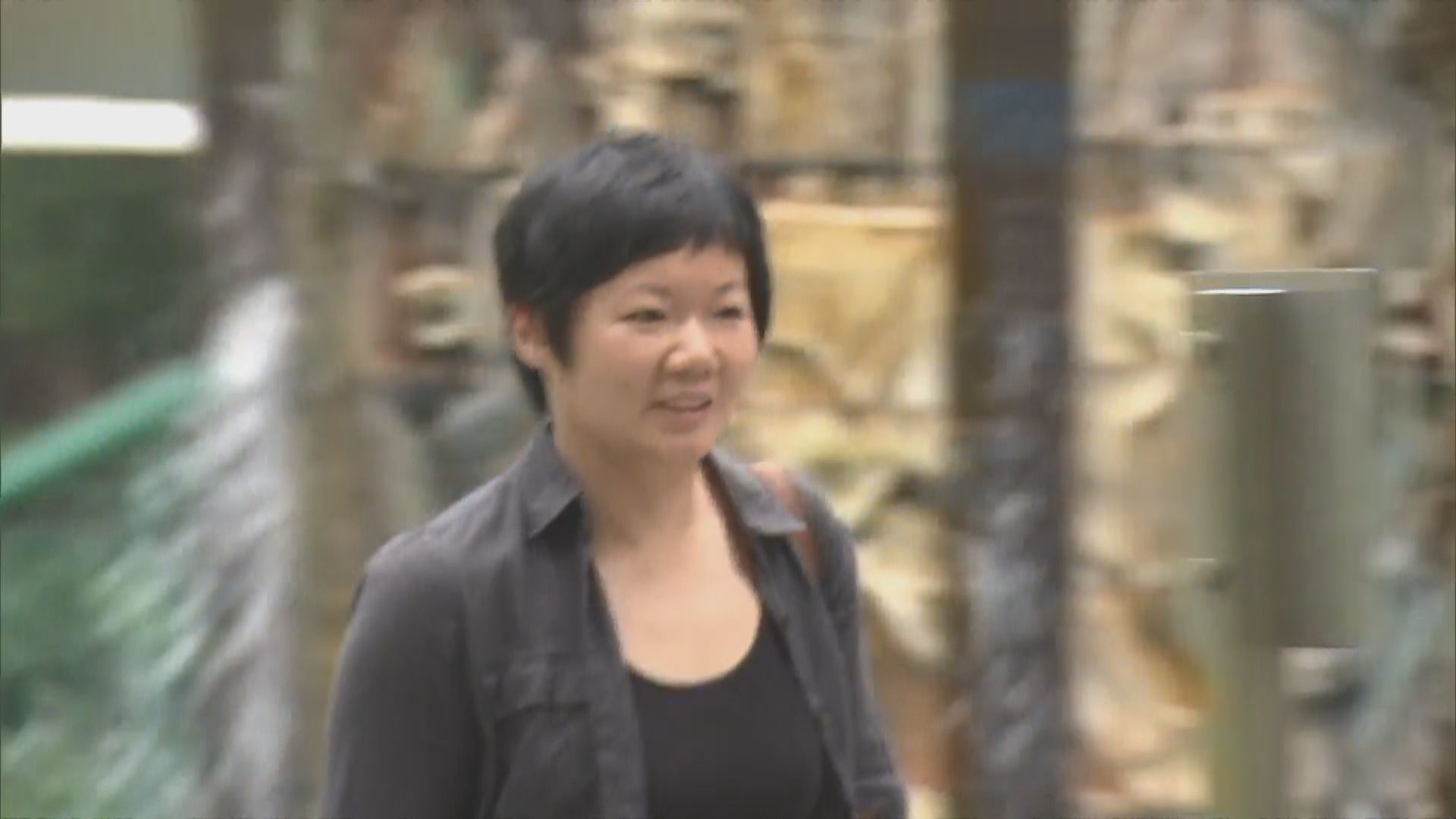 蔡玉玲就查冊車牌涉虛假陳述案上訴至終審法院