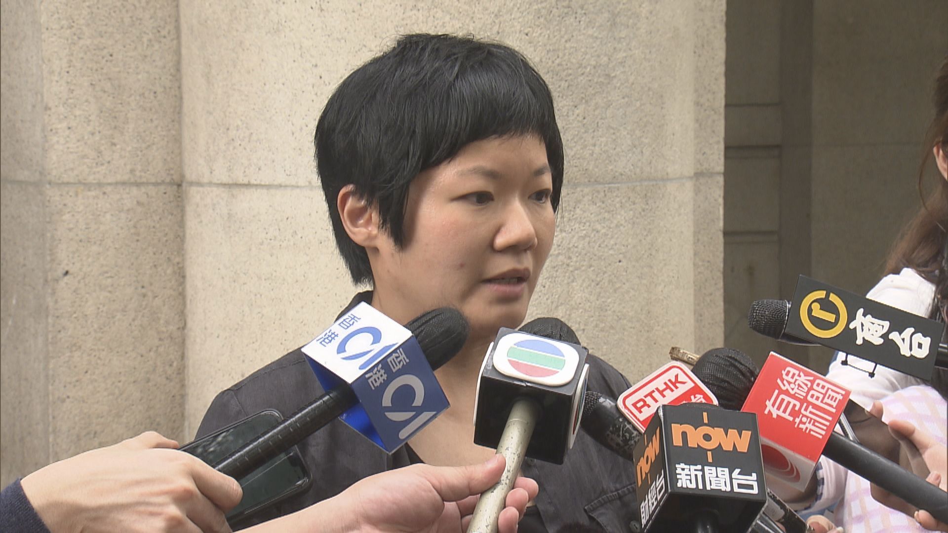 蔡玉玲車牌查冊案　終院押後裁決