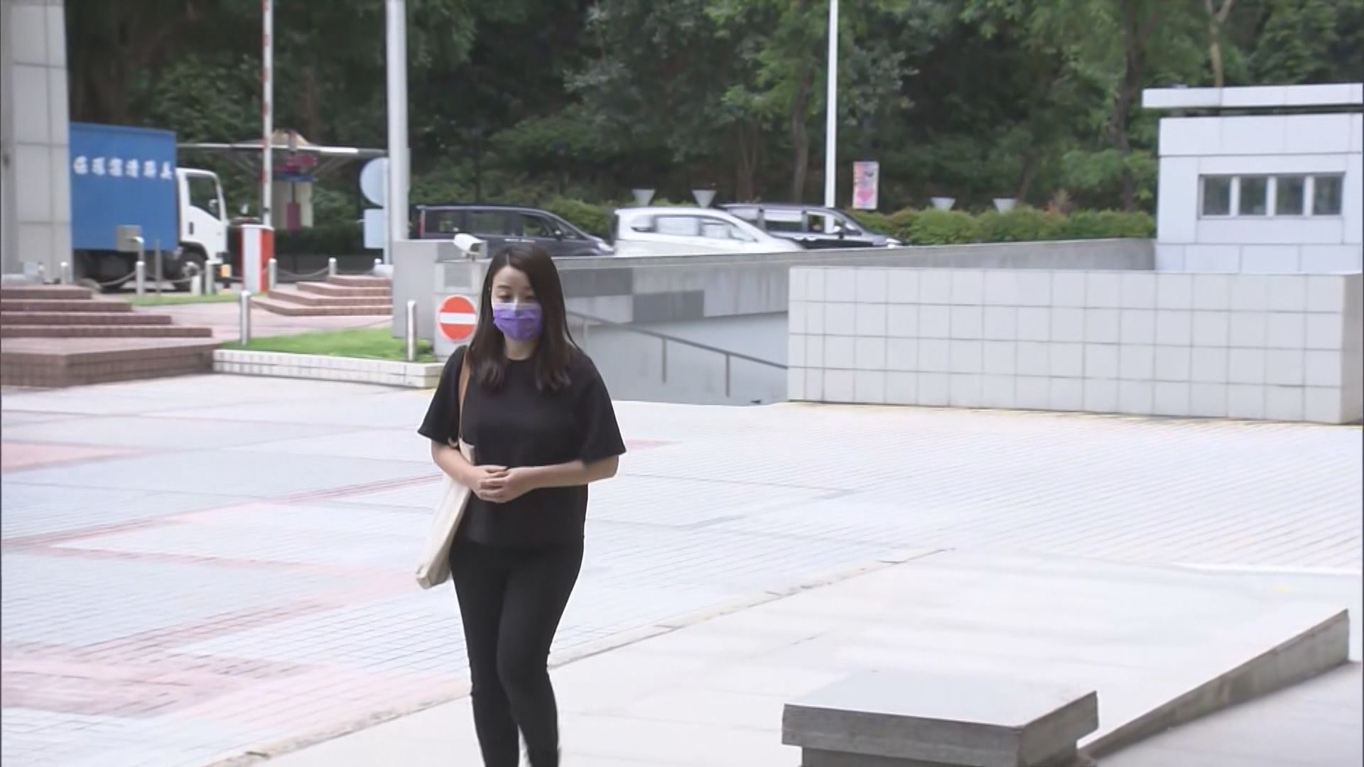 劉小麗參選九西補選選舉呈請高院開審