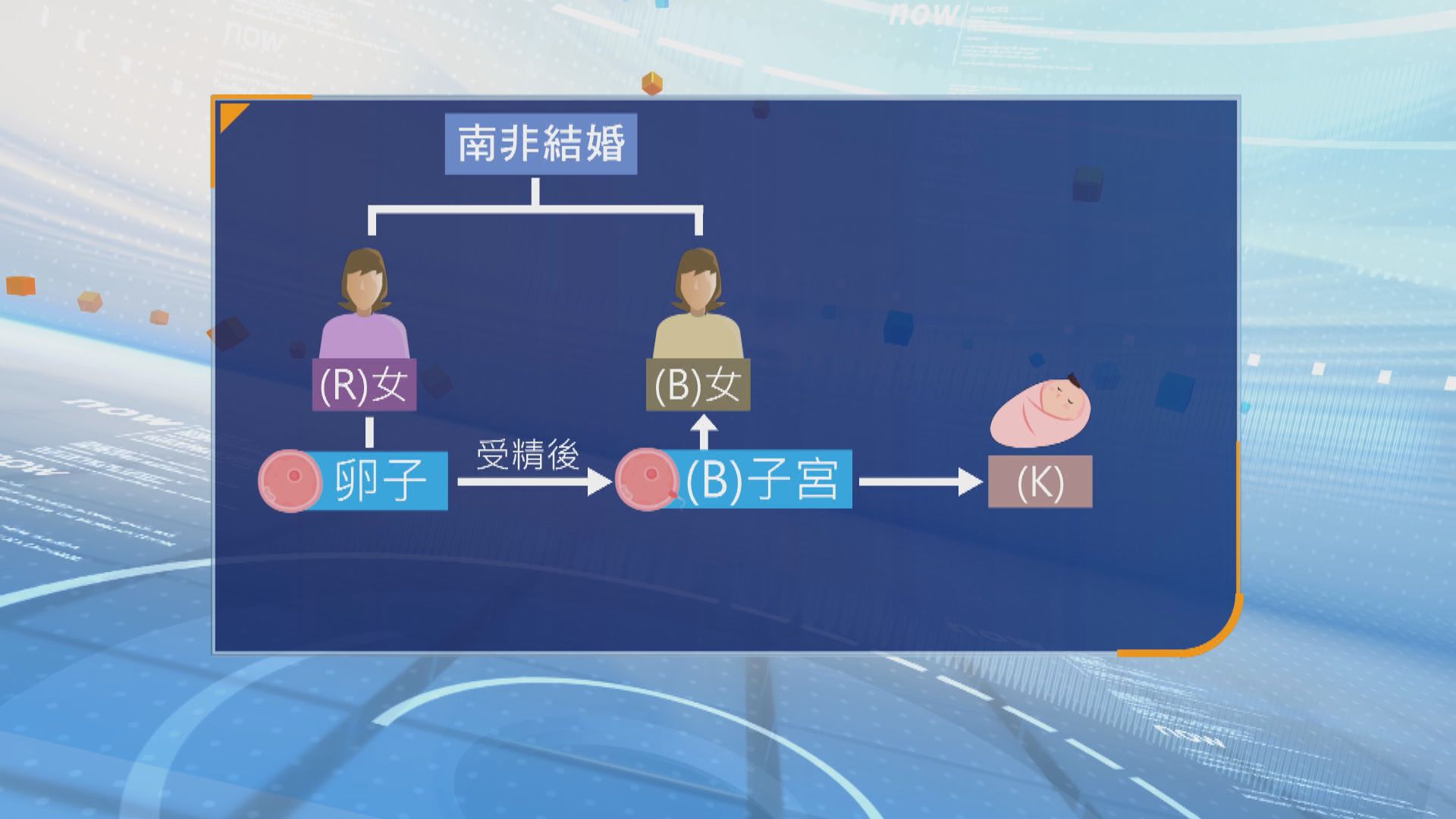 女同志為伴侶提供卵子產子　高院裁不獲認可為法定母親屬違憲