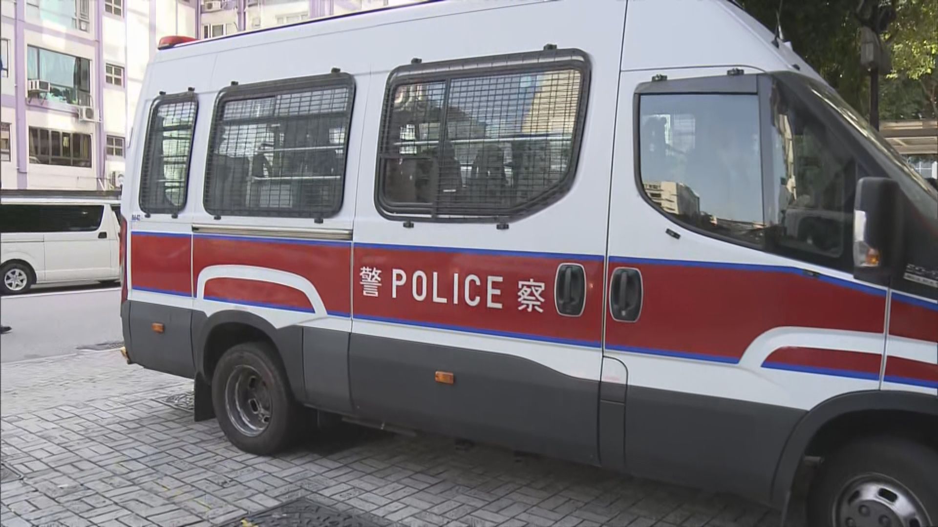 蔡天鳳碎屍案　涉助前夫潛逃男子獲准保釋候訊