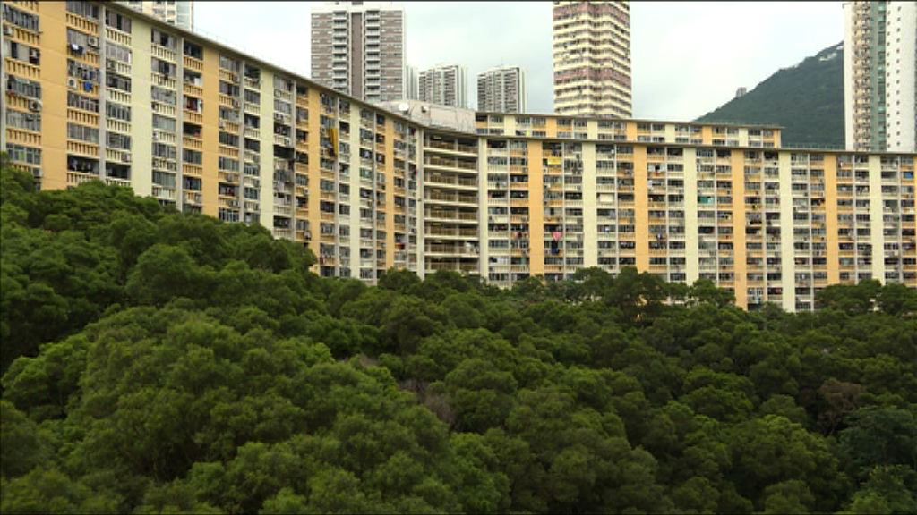 法官押後裁決公屋計分制司法覆核案