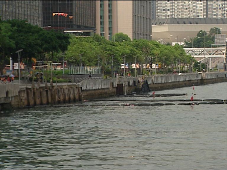 兩公司入稟覆核星光大道擴建計劃