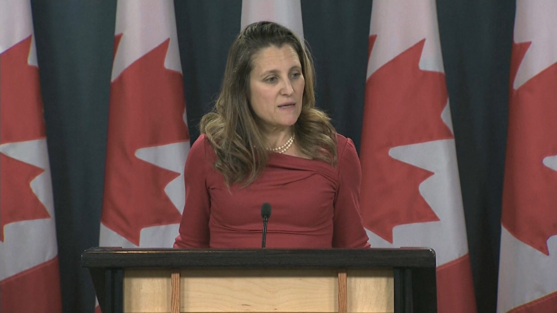 加拿大首次正式要求中方釋放兩名公民