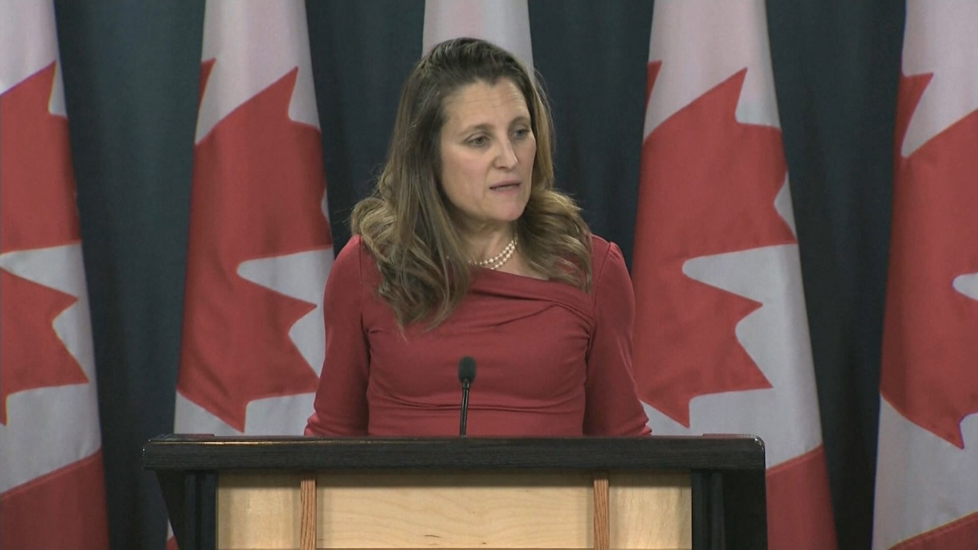 加拿大促中國放人並尋求盟友支持