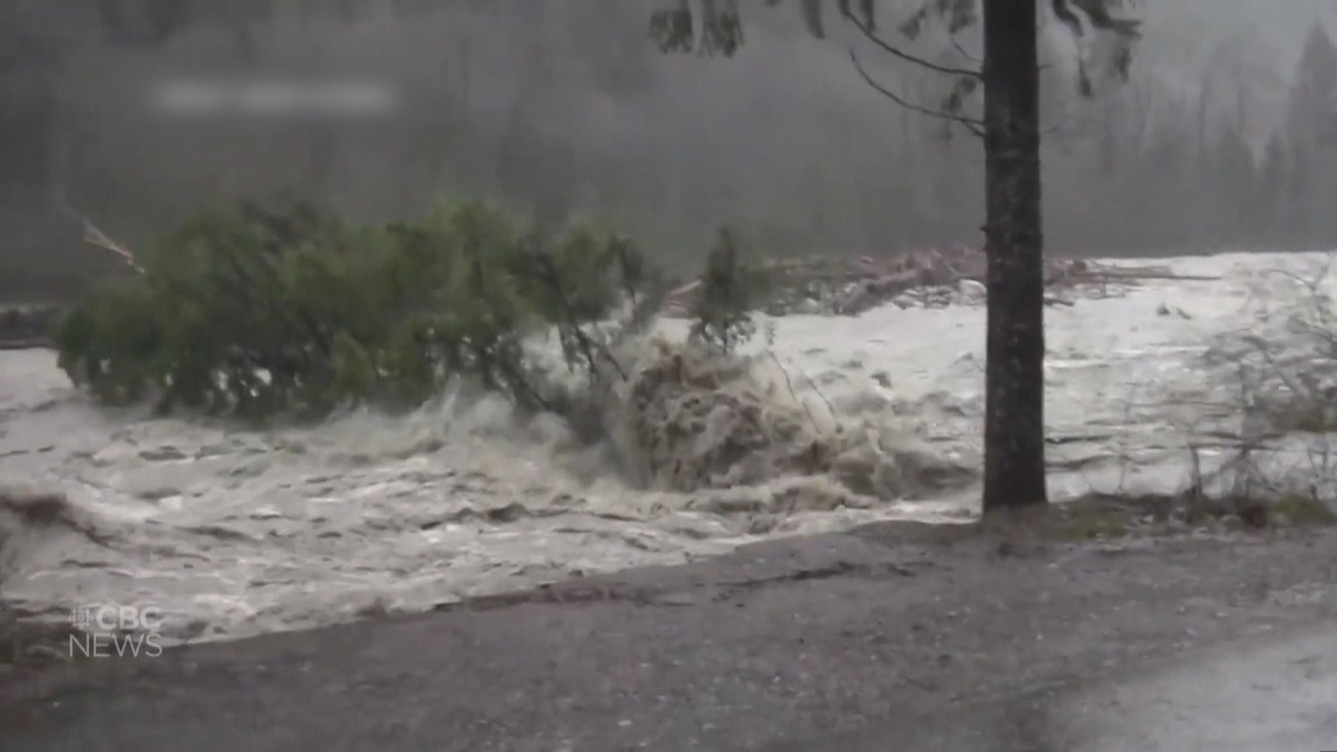加拿大卑詩省暴雨成災　多個市要緊急疏散
