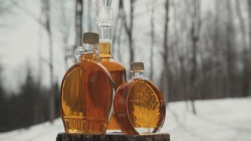 加拿大楓糖漿戰略儲備跌至16年最低水平