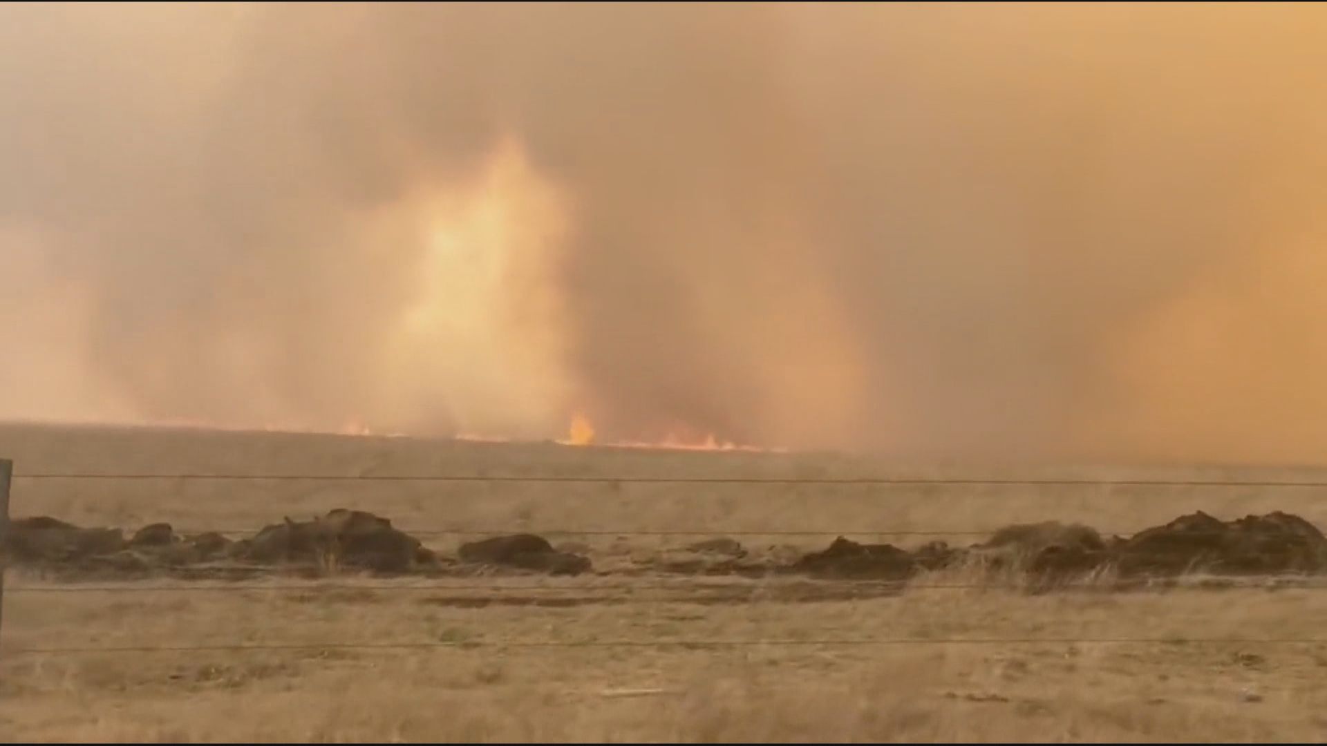 加拿大西部異常高溫　艾伯塔省山火逾二萬人疏散　卑詩省水浸