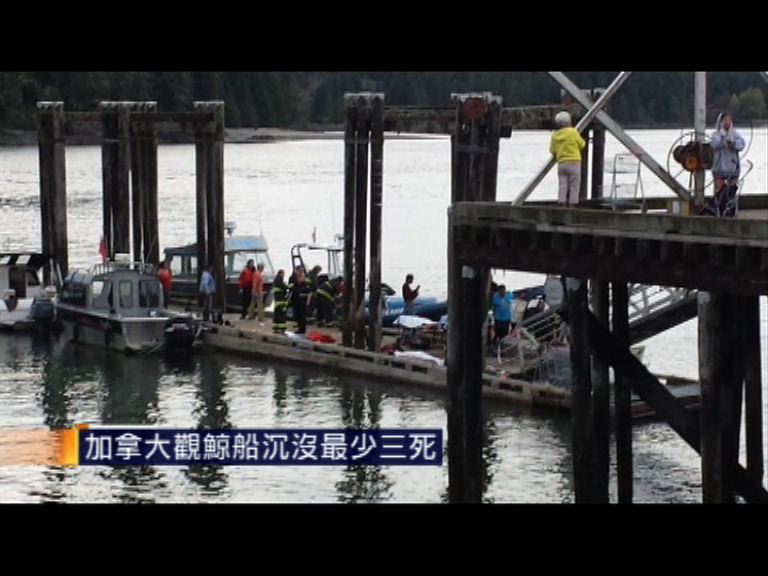 加拿大觀鯨船沉沒最少三死