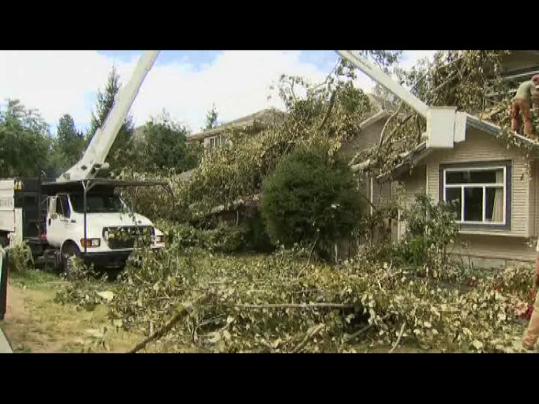 強風吹襲加拿大卑詩省當局加緊清理