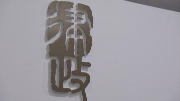 督察撞女途人案　律政司稱研究判刑理由決定須否跟進