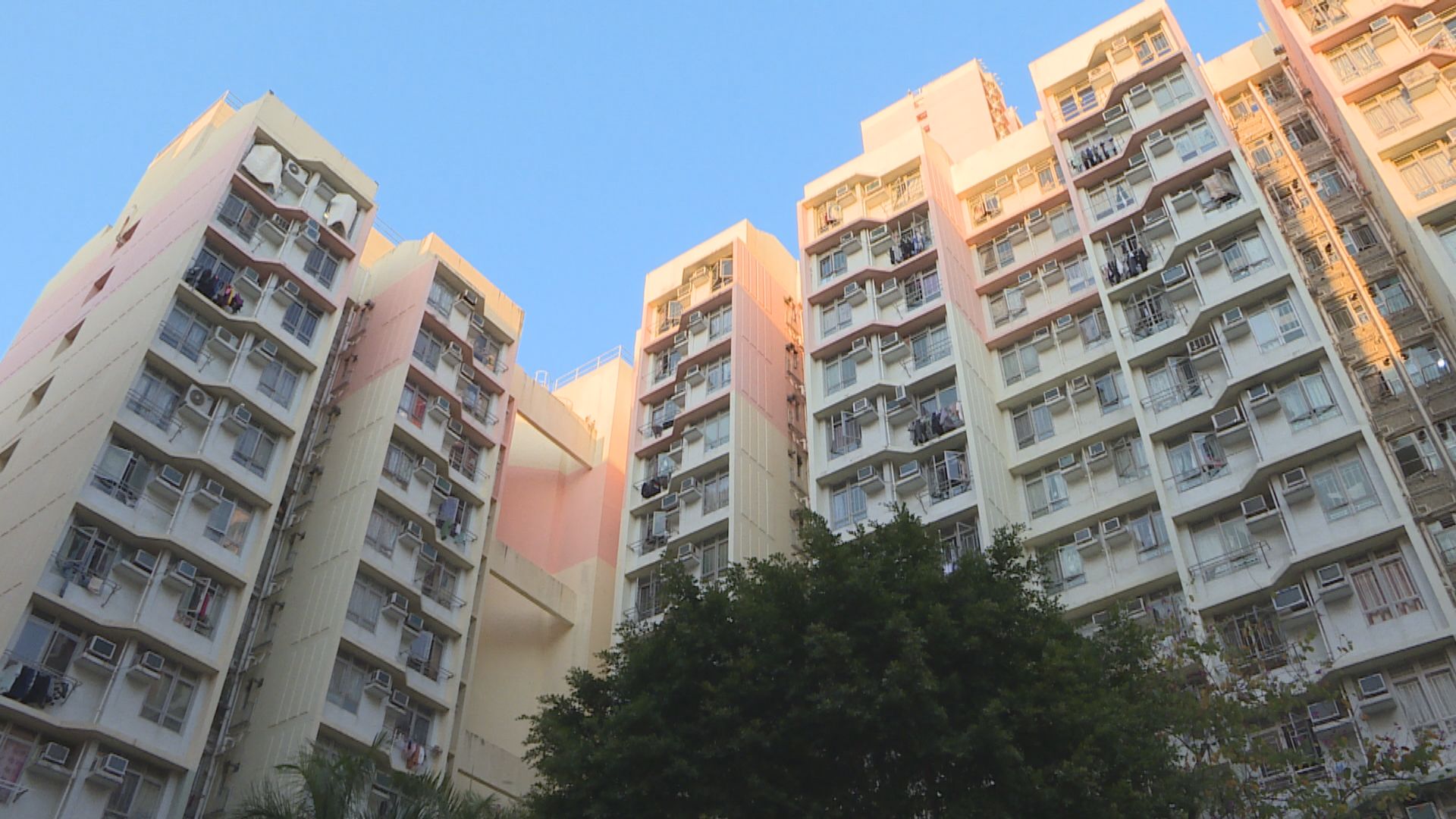 九龍城關愛隊通訊程式疑遭入侵　23服務使用者個人資料或外洩