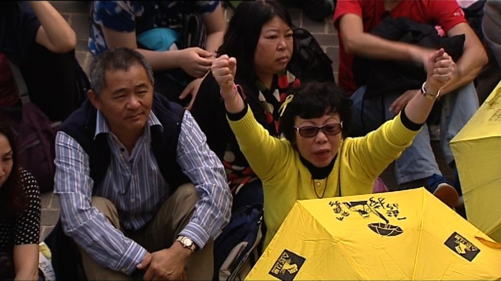 團體集會不滿林鄭月娥參選特首