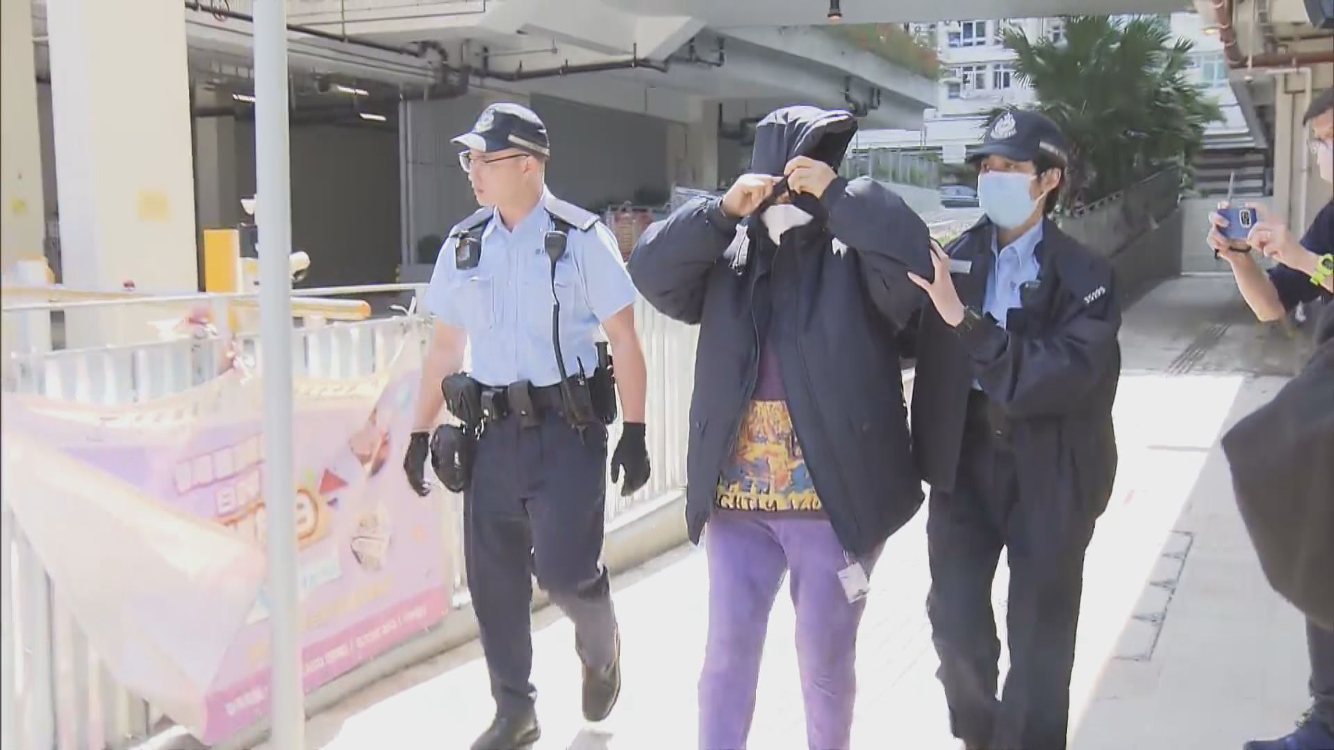 深水埗白田邨一女子涉屠宰貓隻食用被捕