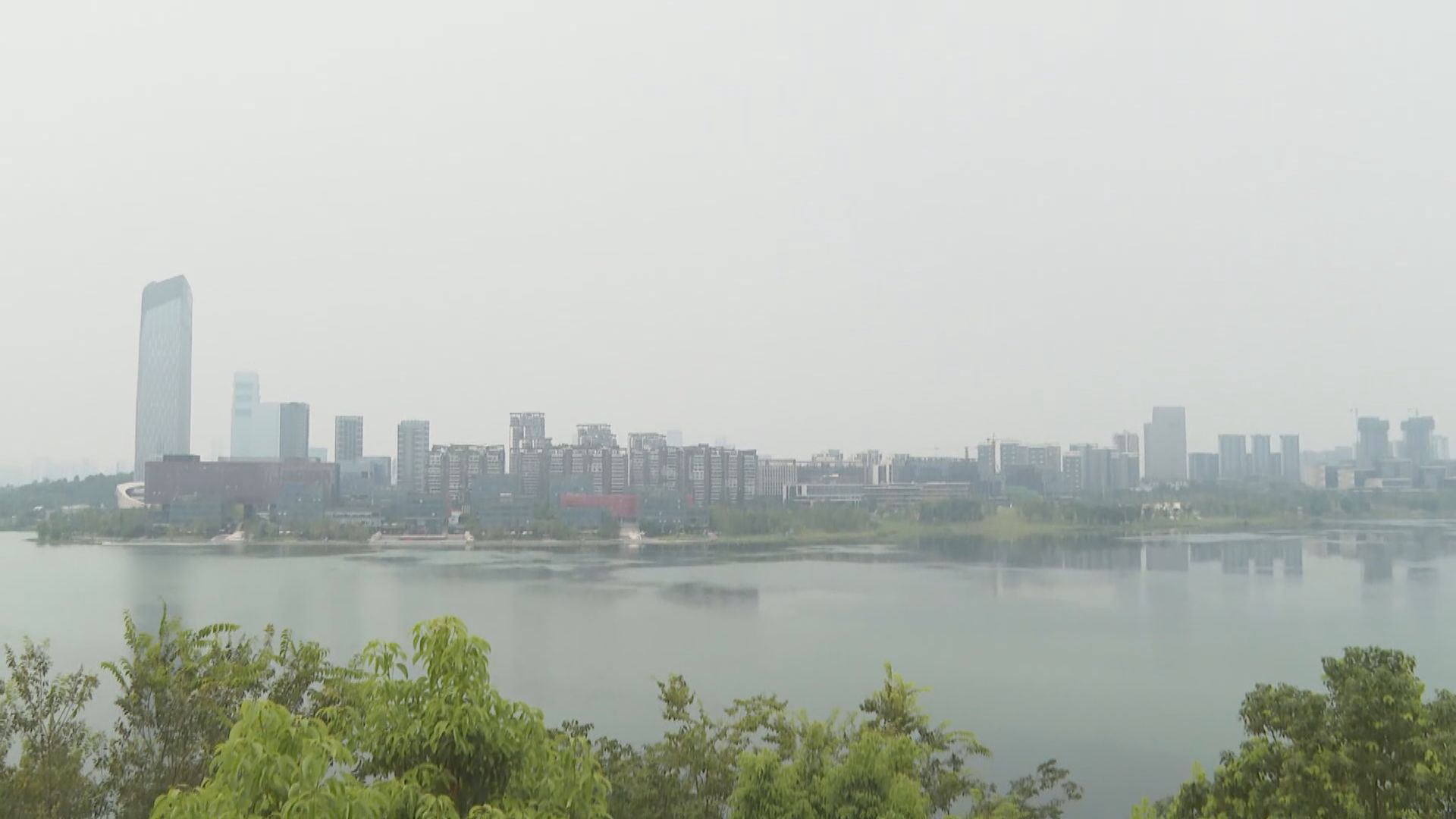 有四川港商稱近年到成都投資創業年輕人增加