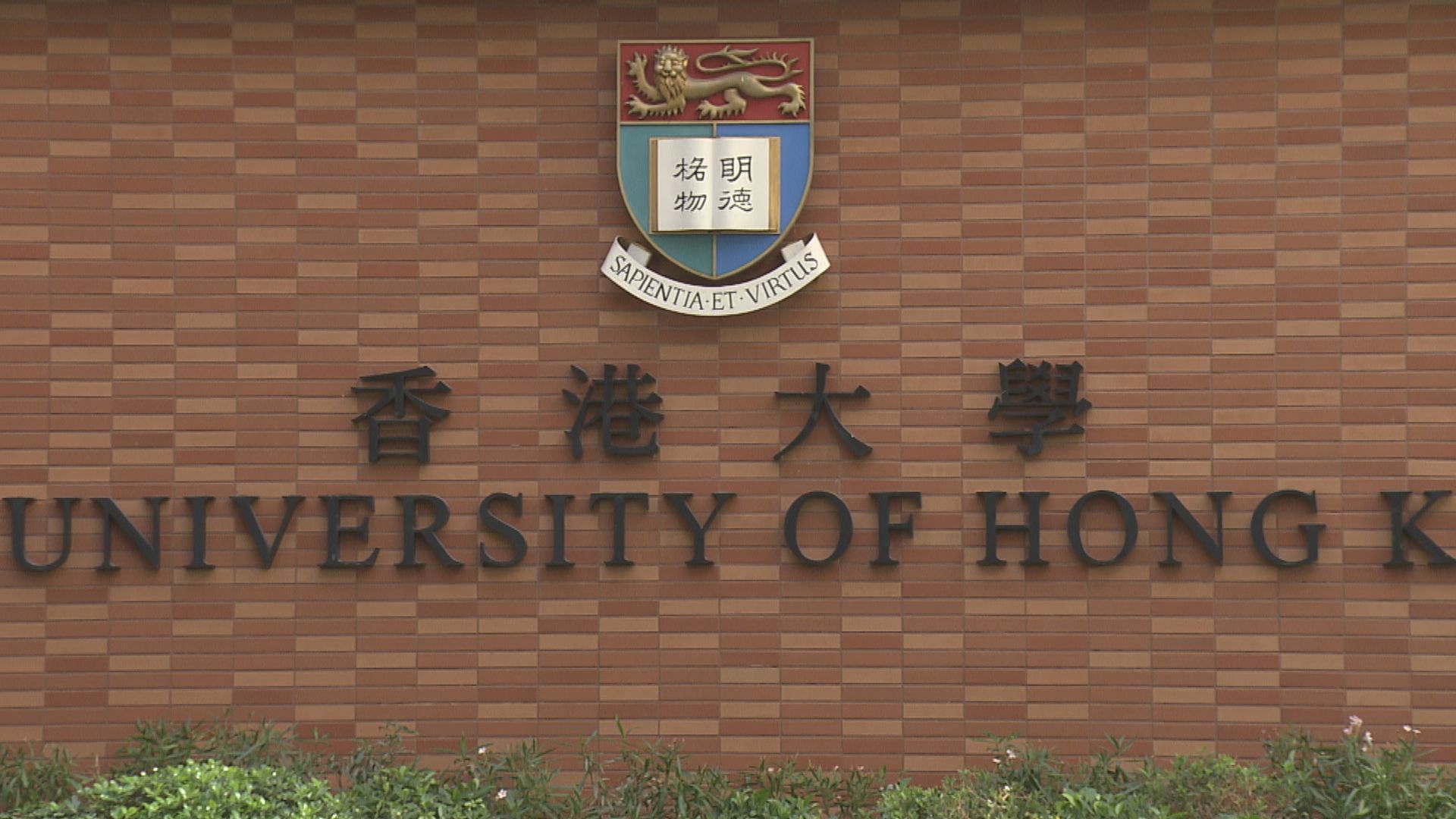 港大學生會會長葉芷琳：憂副校長任命影響院校自主