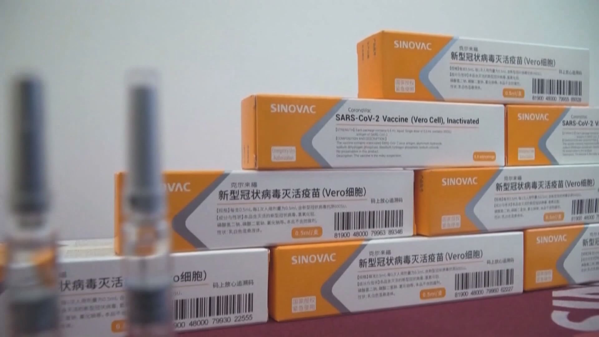 林鄭：採購疫苗參考專家意見　批有人惡意造謠