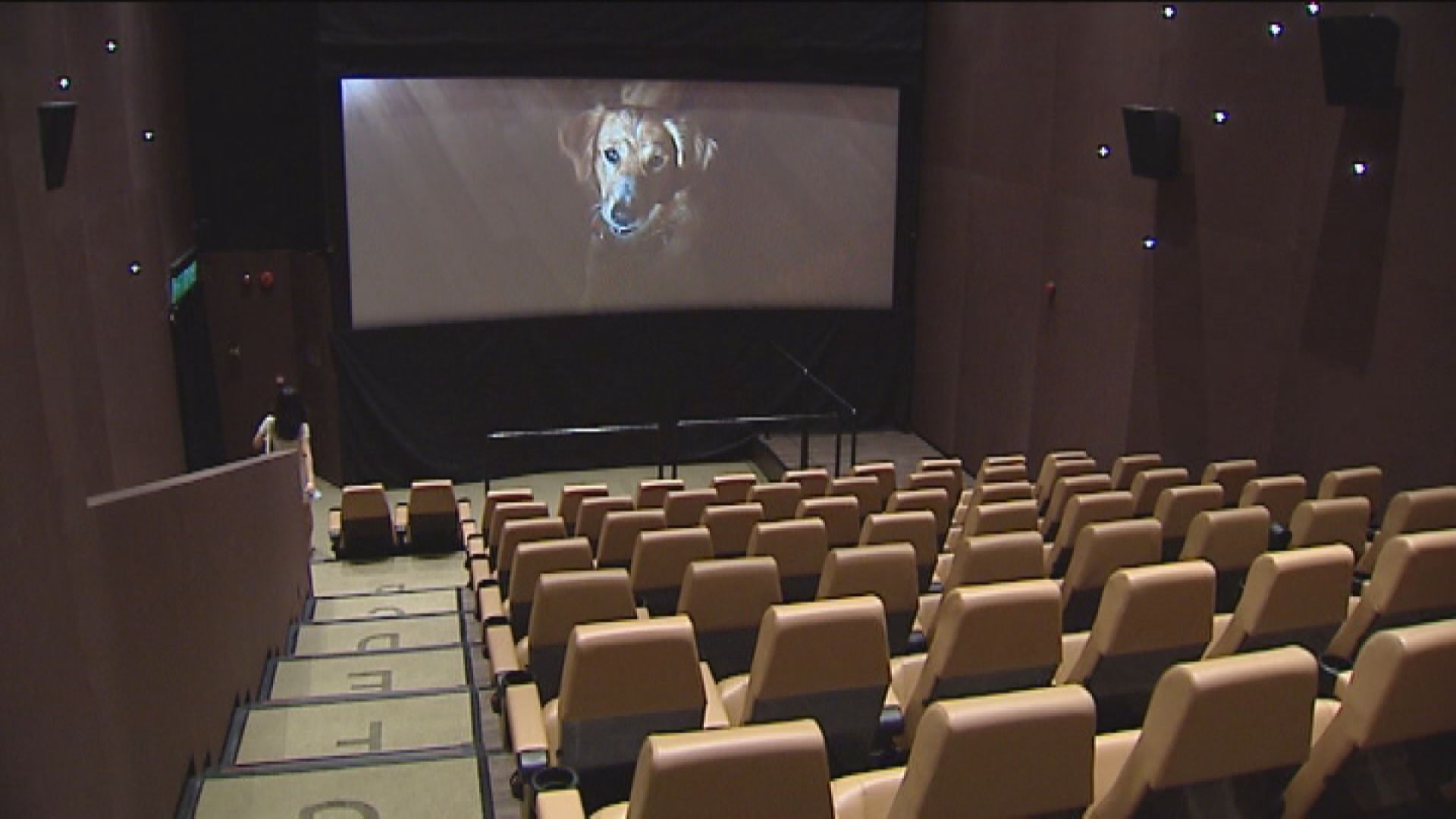 政府延長限聚令至七月十六日　放寬酒吧戲院人數限制