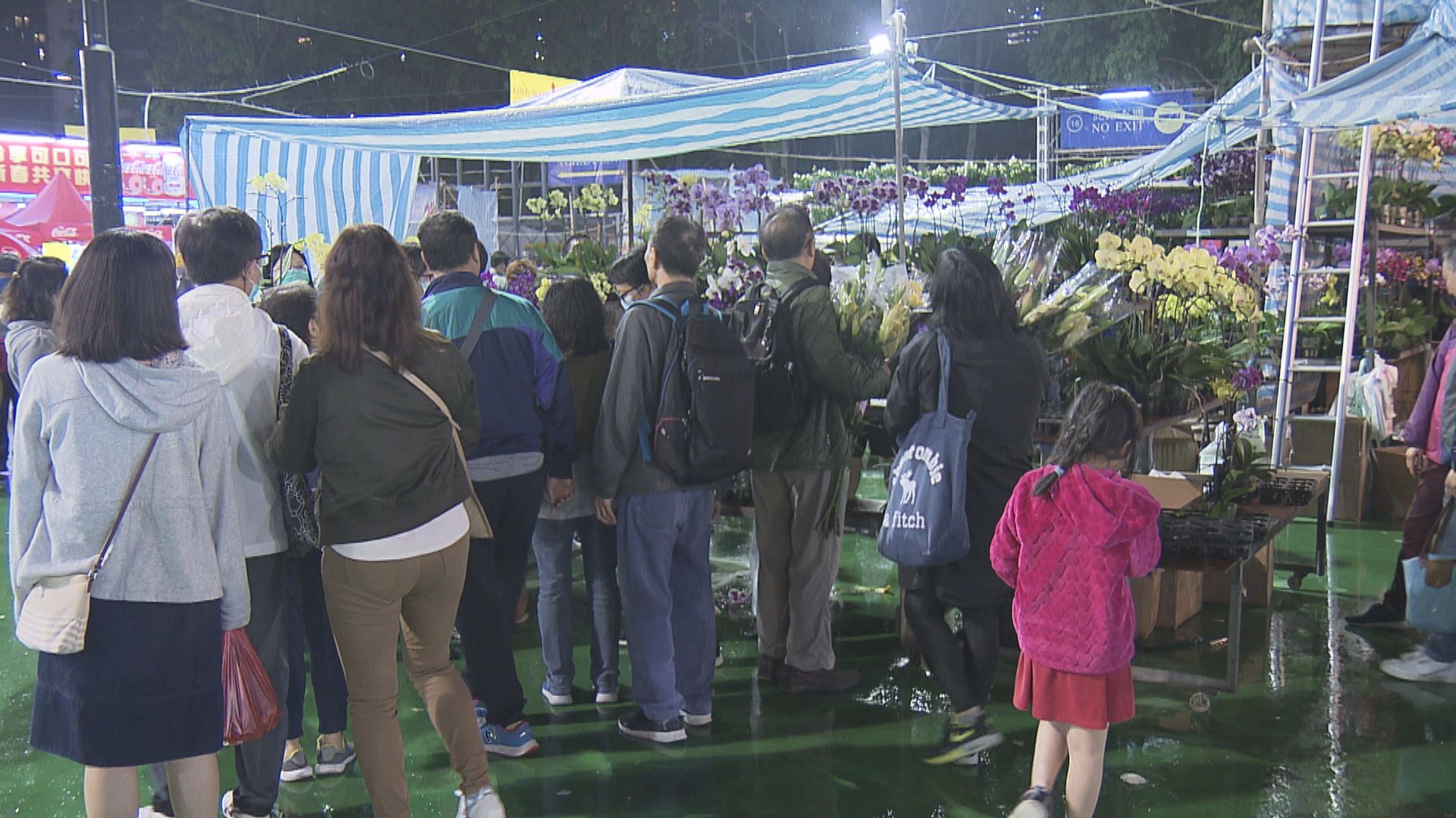 林鄭：正審視取消年宵花市決定　食衞局將約見花農討論