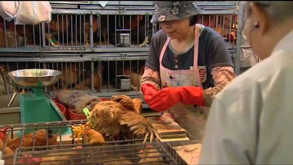 端午節活雞恢復應市