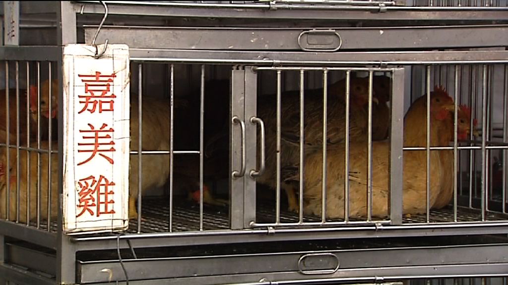 消息：顧問傾向保留街市賣活雞