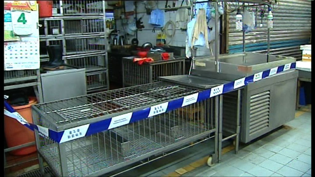 本港所有活禽交易暫停