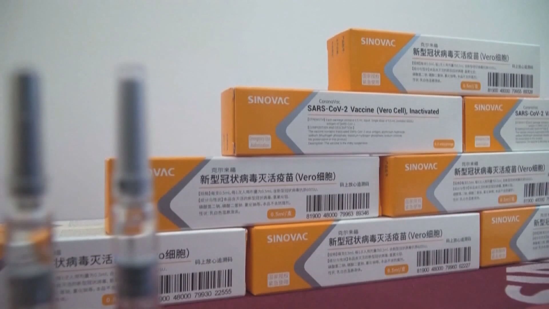 智利批准在有限制下緊急使用科興疫苗