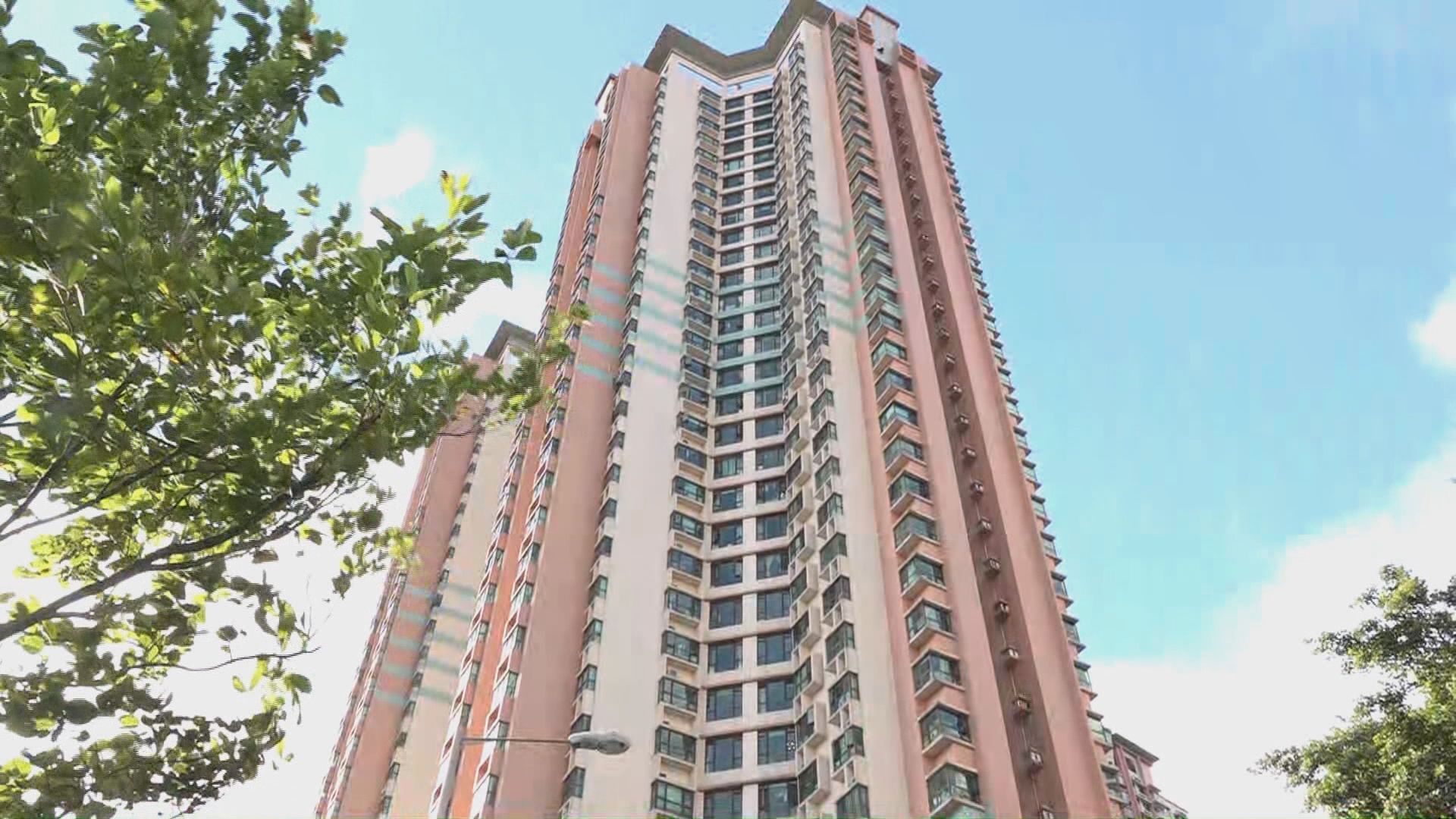 本地確診首宗登革熱　荔景及藍田現白紋伊蚊