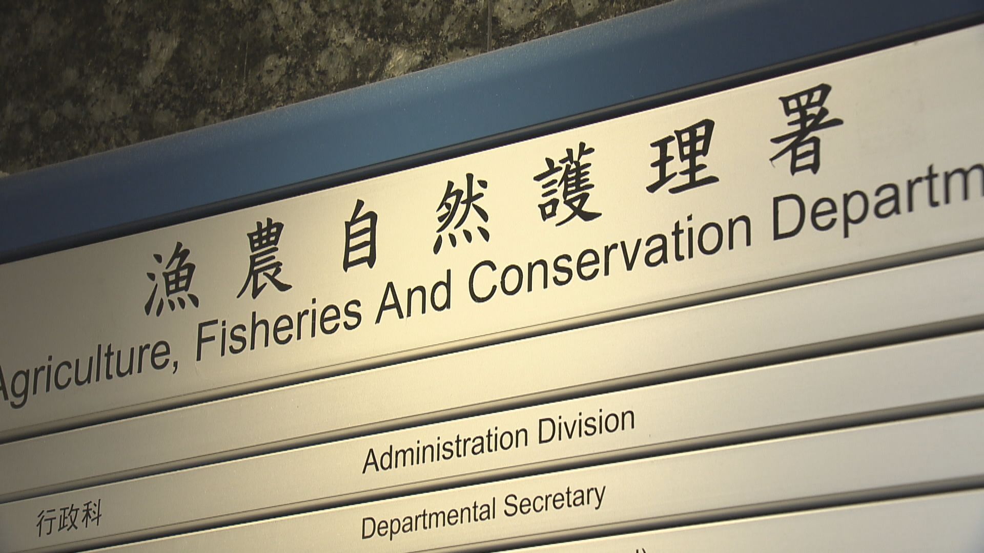 漁護署：無證據顯示寵物會傳播新型冠狀病毒給人類