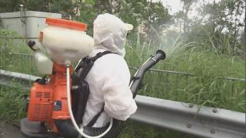 食環署將控蚊工作擴展至白紋伊蚊誘蚊器指數介乎10%至20%區域