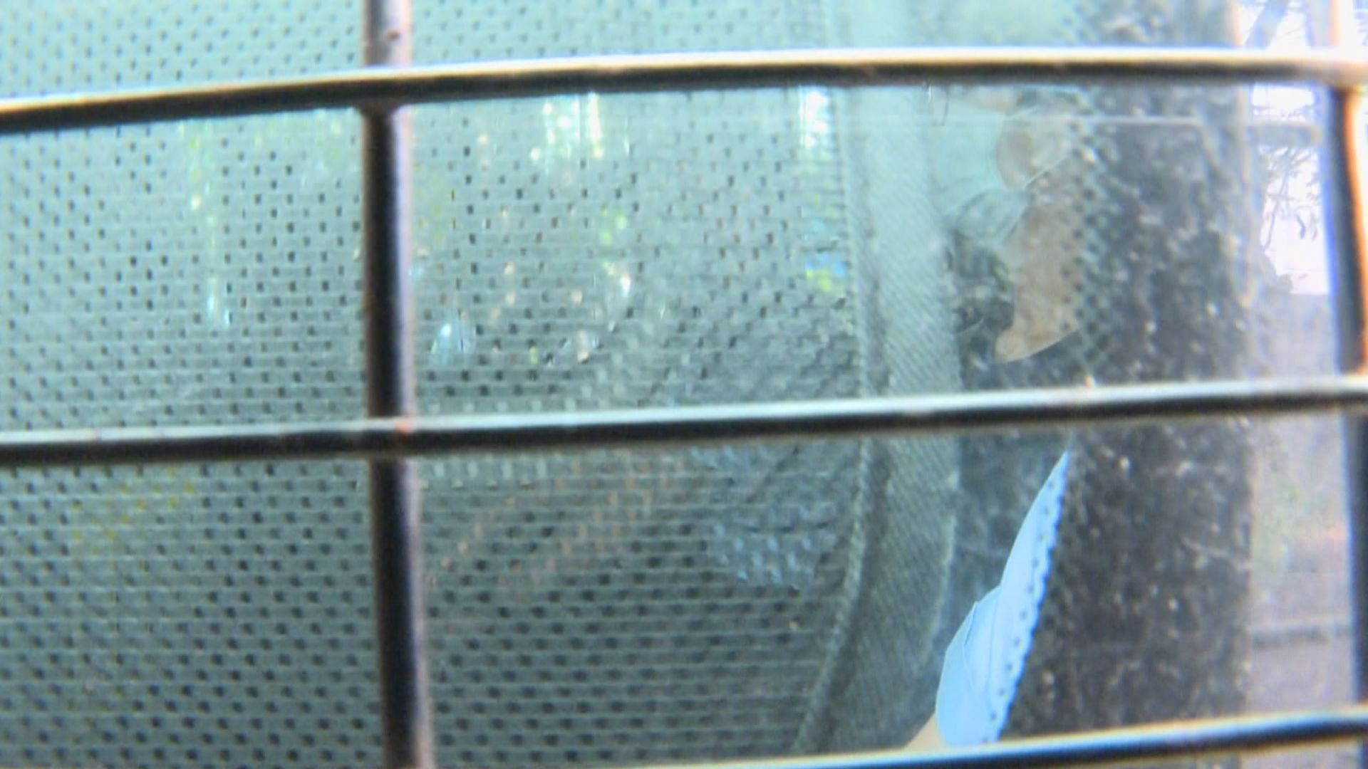 鍾翰林被控分裂國家罪　早上提堂