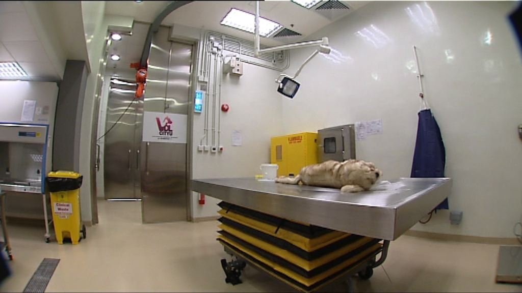 城大動物醫療檢驗中心周一啟用